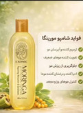 پرپشت شدن مو در یک ماه! شامپو اکسونیک با روغن مورینگا ۳۰۰ میل(اصل آفریقا)
